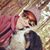 Paula Morrow's profile image