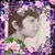 Mercedes Rebollar's profile image
