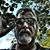 Doug Murrow's profile image