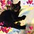 Nancy Brisendine Barnes's profile image
