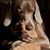 Lori McKernan's profile image