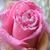 Jami Martin's profile image