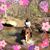 Rosann Barr's profile image