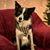 Lisa Grimes's profile image