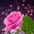 Tanzie Jimerson's profile image
