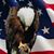 Brian Caine's profile image