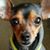 Jada Eley's profile image