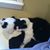 Linda Yeargan's profile image