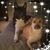 Susie Pate's profile image