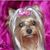 Marysia Flodzicka's profile image