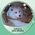 Teresa Engler's profile image