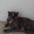 Melissa Kromer Evans's profile image
