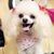 Susie Butcher's profile image
