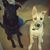 Lyndsey Thorne's profile image