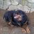 Carolyn Byrne's profile image
