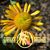 Debra Alcantara's profile image