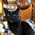 Katherine Hanscom's profile image