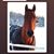Dolores M Sarno Kristofits's profile image
