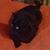 Jenni-Mike Gerken-Wilder's profile image