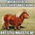 Suzanne Wendlandt's profile image