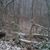 Karen Ann Weathersby's profile image