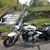 Susan Goneau Cole's profile image