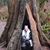 Jessica Cristle Hall's profile image