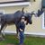 Yvonne O'Reilly's profile image