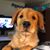 Tim Bueschel's profile image
