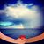 Sally Sayedahmed's profile image