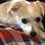 Randall Roberts's profile image