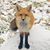 Dave Thoensen's profile image