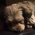 Amy Rothenbuhler's profile image