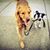 Rachel Bleau Gobel's profile image