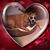 Christian Ritter's profile image