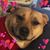 Meghan Elizabeth Schouten's profile image