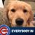 Bill Catalano's profile image