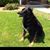Caryn Grierson Carmichael's profile image