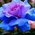 Juana Gonzalez's profile image