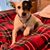 DeeDee Blaine K's profile image