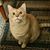 Melinda Potts's profile image