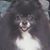 Cindy Mahoney's profile image