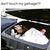 Frank D Turner's profile image