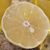 Kelly Golliher Richardson's profile image