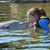 Catherine Wheeler McClain's profile image