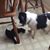 Linda Plageman Mackin's profile image