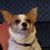 Treasa Vander Hart's profile image
