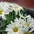 Wendy Gajeski's profile image