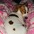 Terri Bolden's profile image