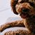Val Bungart's profile image